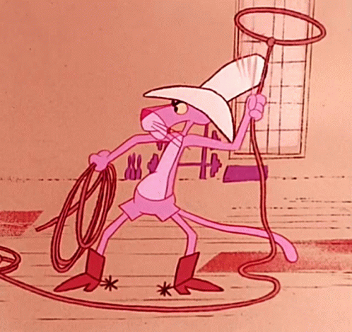 pink-panther-lasso-rope