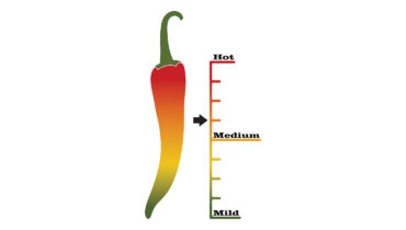 Which Spice Are You? | Awesome Test With 99% Accuracy