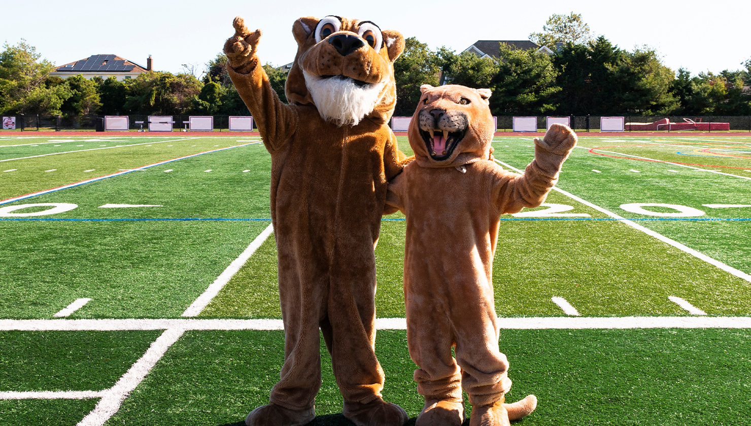 Which Sports Mascot Are You? This Awesome Quiz Predicts 90 Accurately