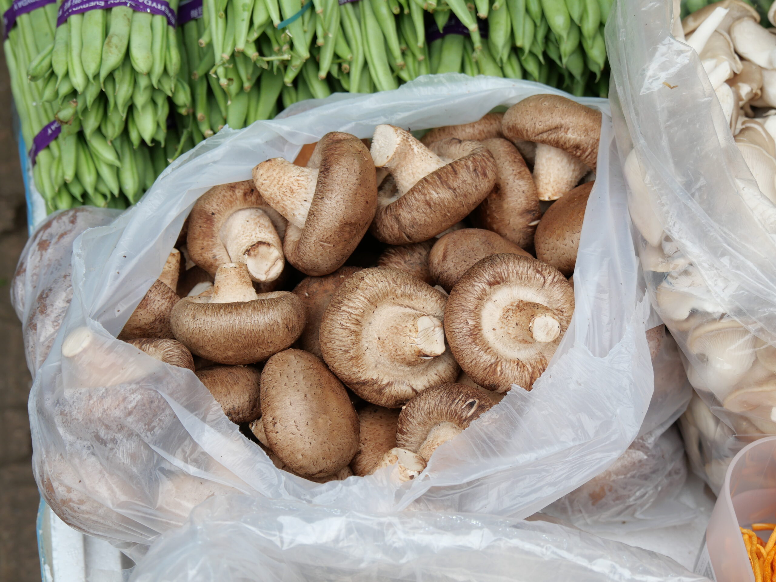 Shiitake-mushroom-in-Vegetable-store-in-Yuen-Long