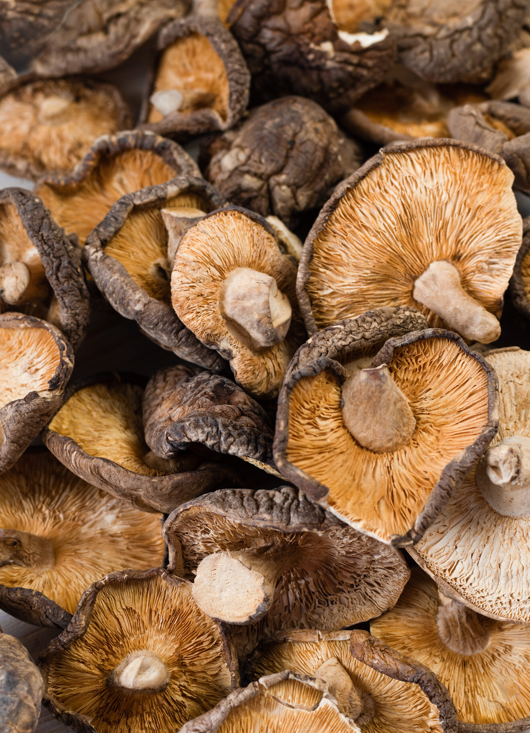 Close up of dried shiitake mushrooms on wooden background