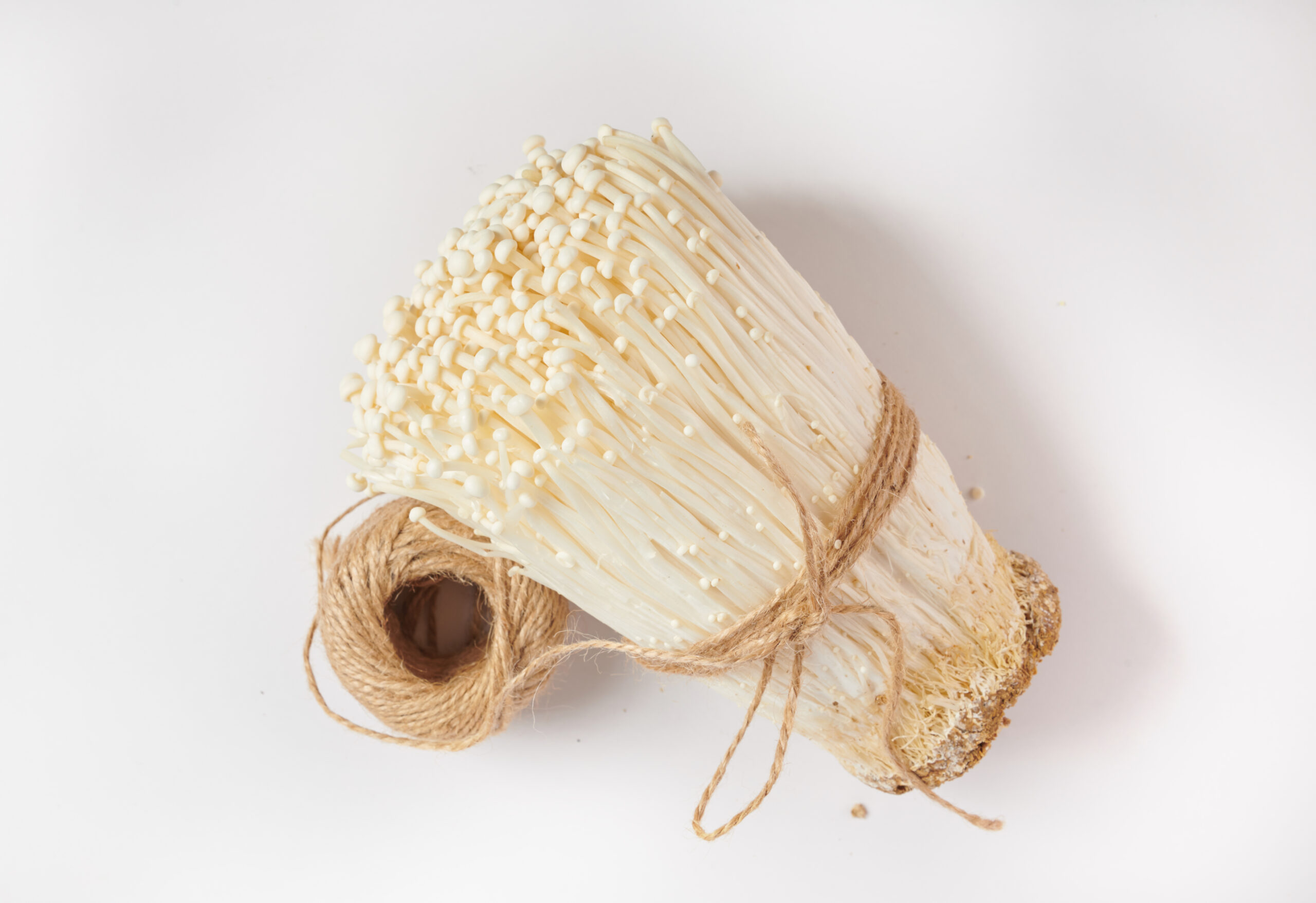 White fresh golden needle mushroom or enoki mushroom isolated on