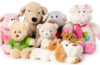 What Stuffed Animal Are You?
