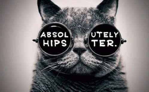 hipster-absolutely-hipster