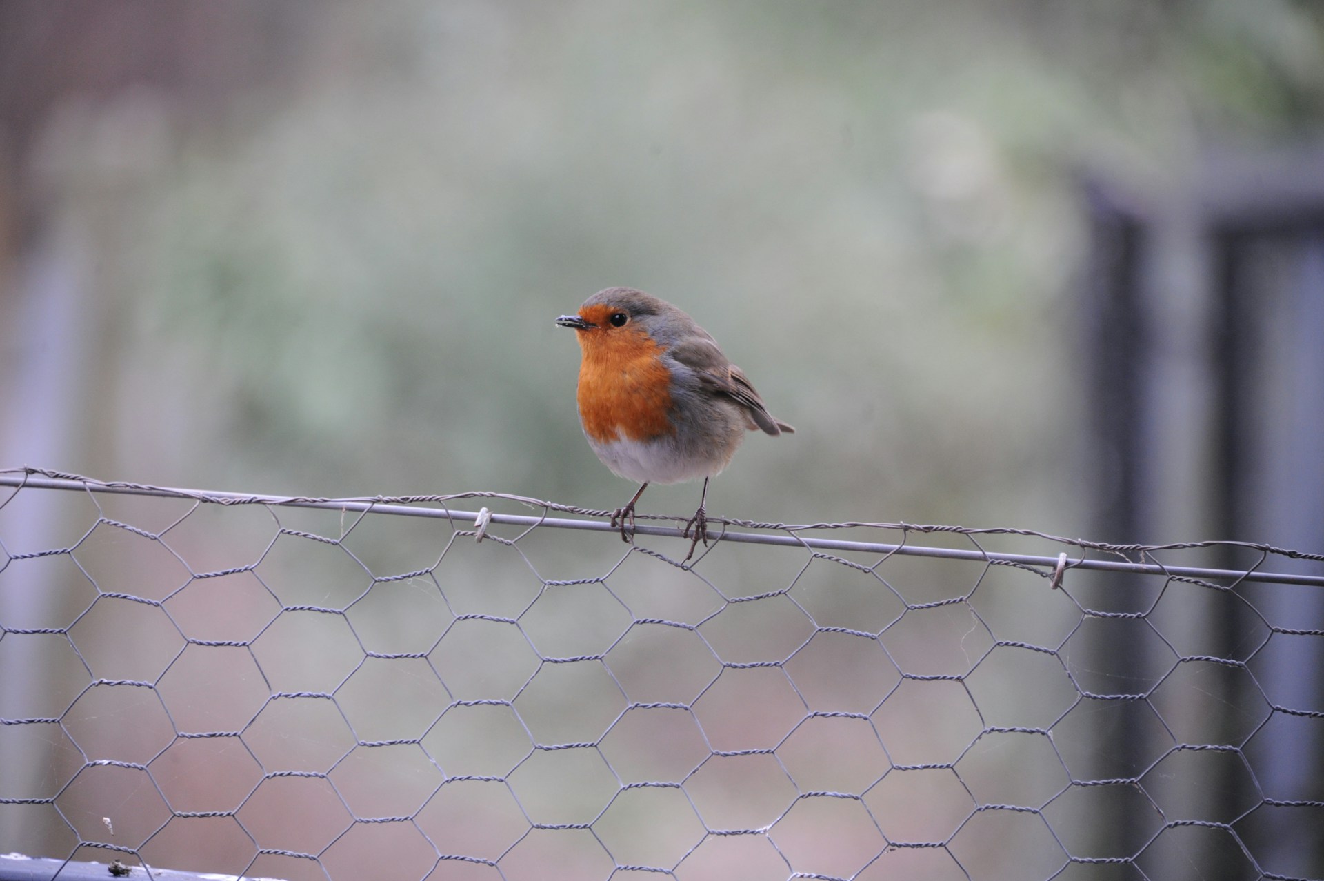 adam-biggs-LcFDgFP--mo-unsplash