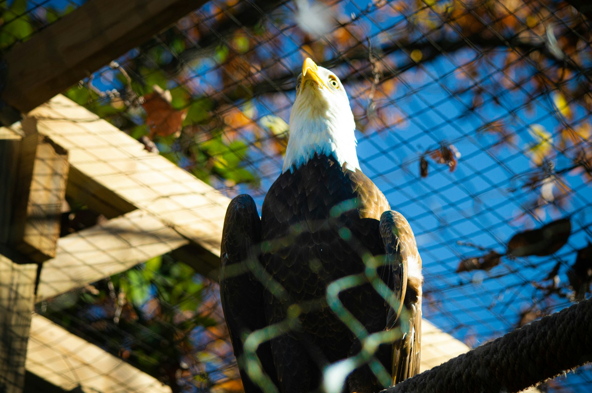 andy-bhattacharyya-oJUVYUtkVMI-unsplash