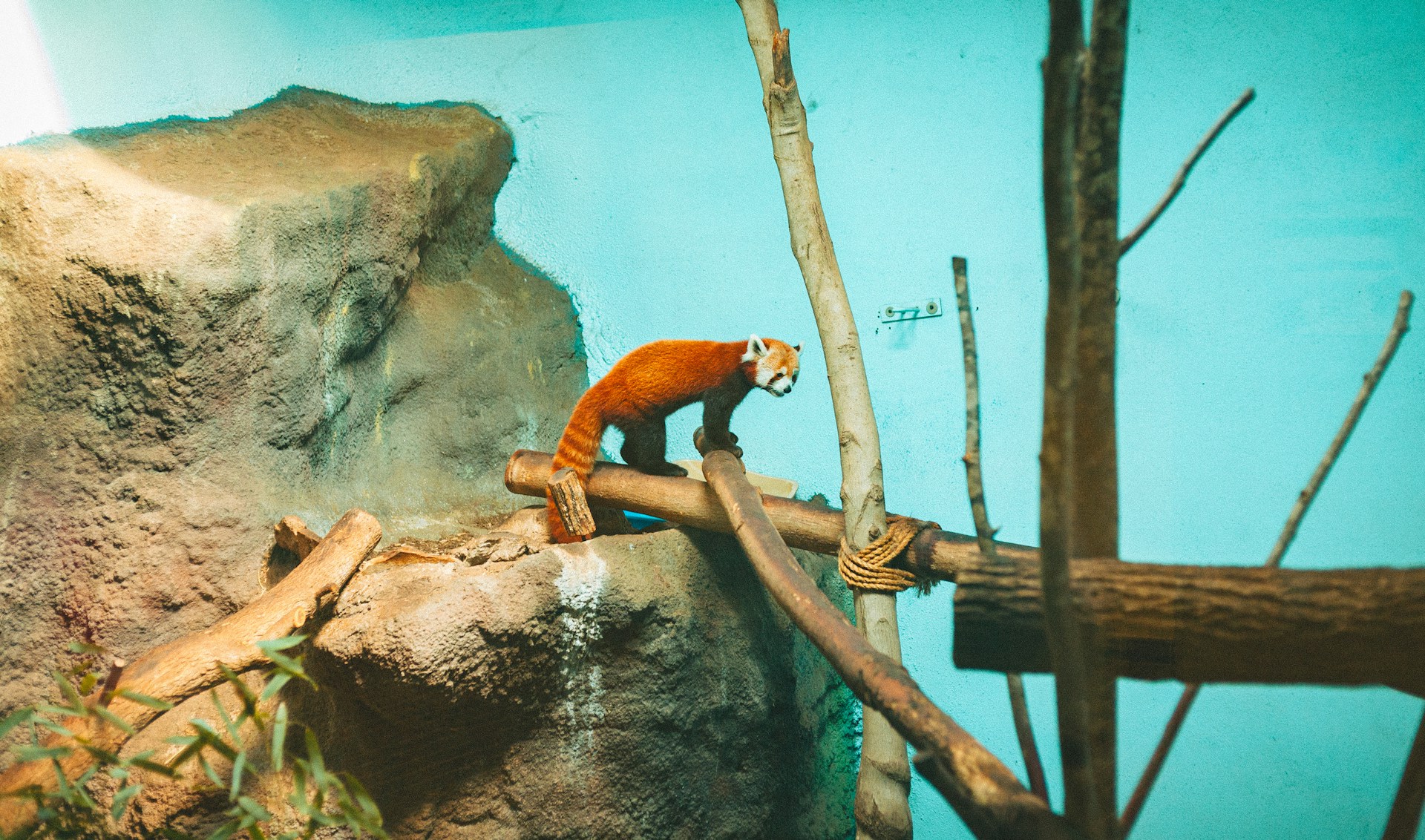 anthony-roberts-dvDzFZsEfnw-unsplash