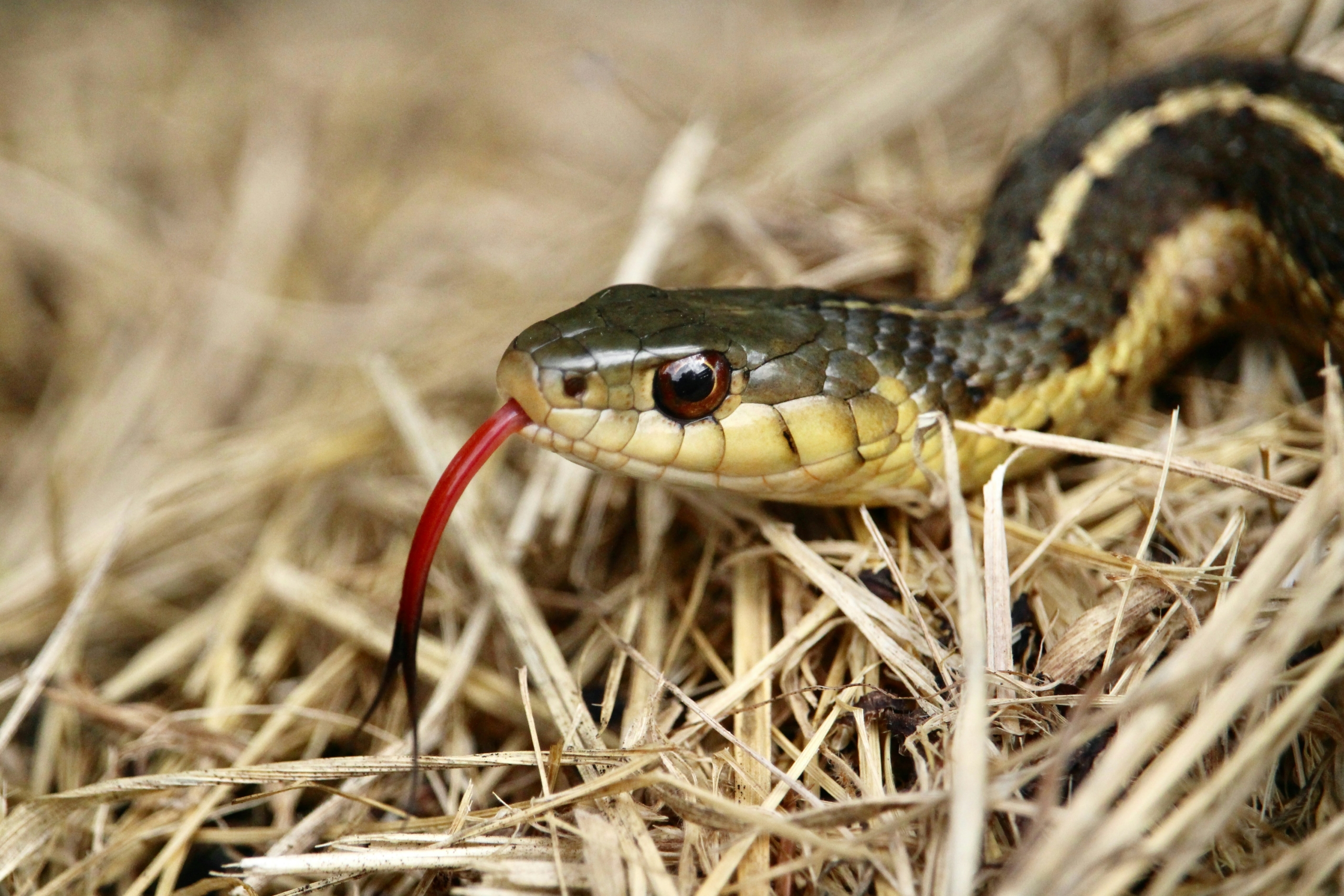 cecile-mousist-K55uyrcTCk4-unsplash