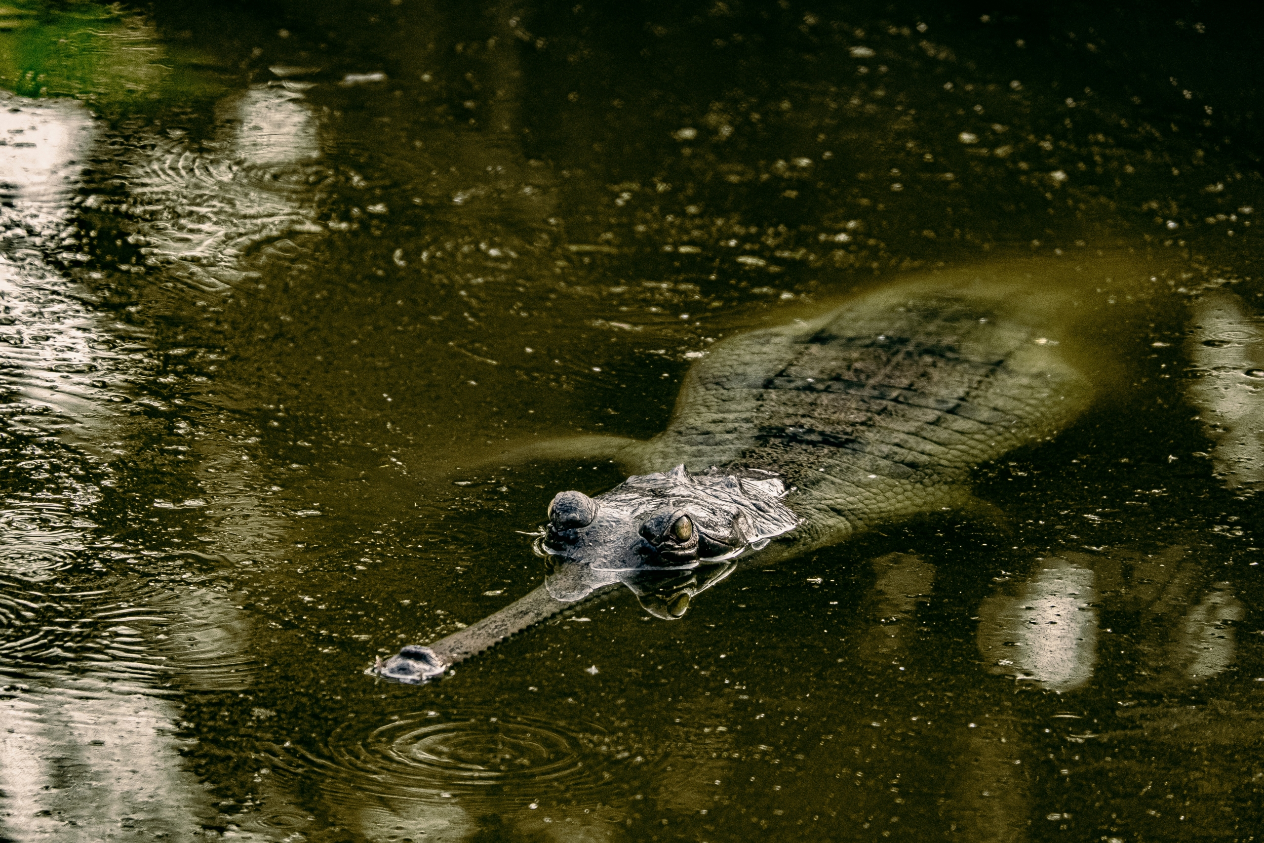 daniele-franchi-NXYagmYpUwU-unsplash