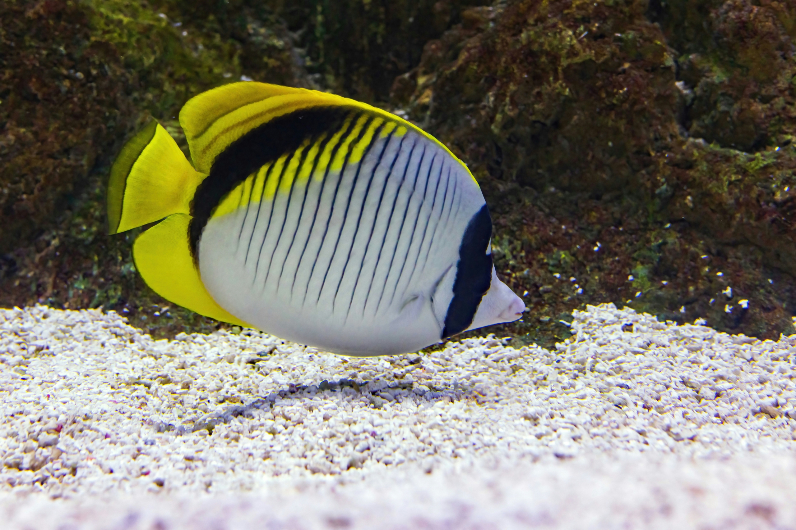 david-clode-ui0QWhsPcD0-unsplash