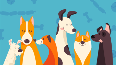 Dogs Recognition Quiz