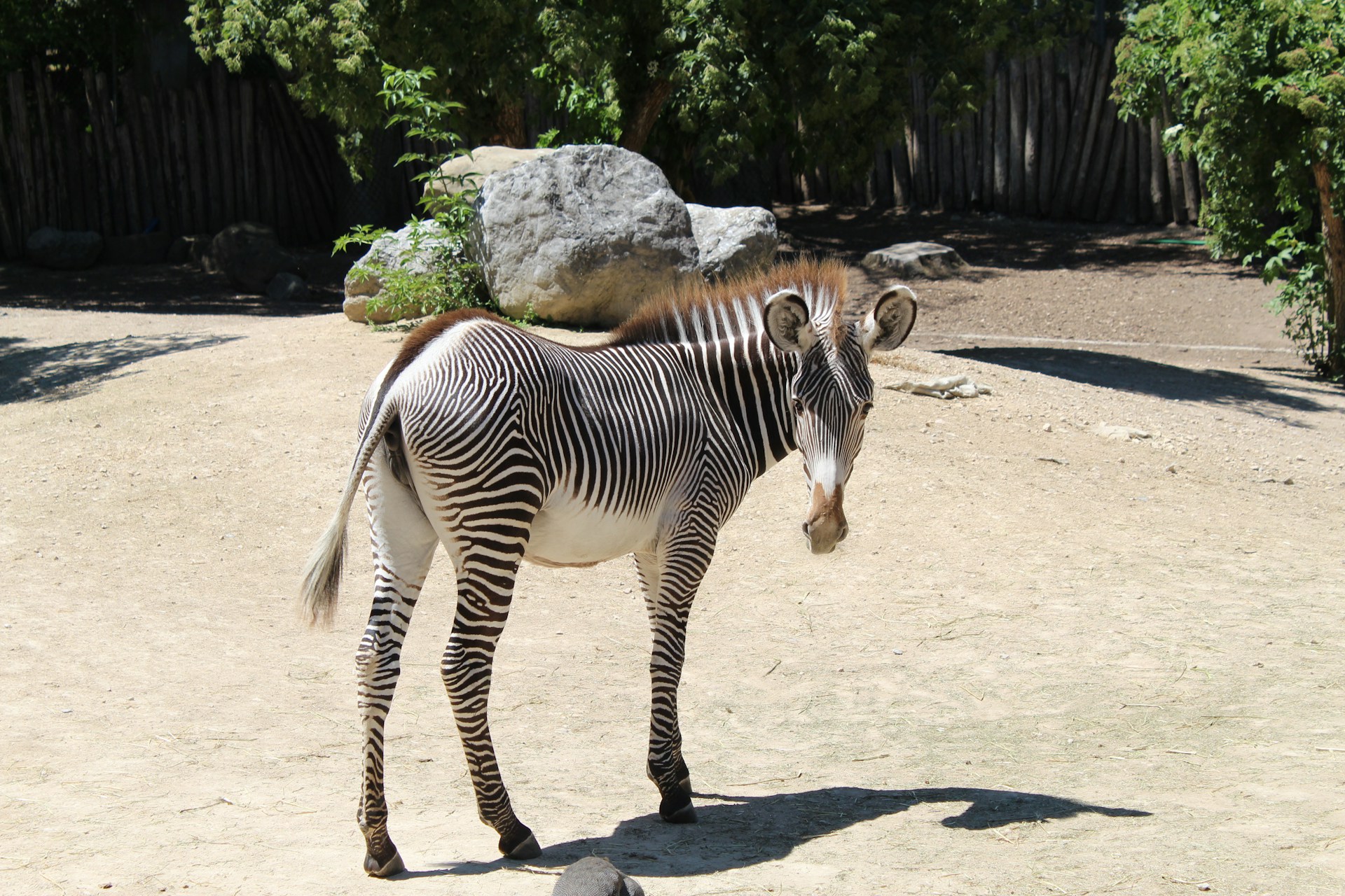 gabriel-tresch--4o9WxyxbaA-unsplash