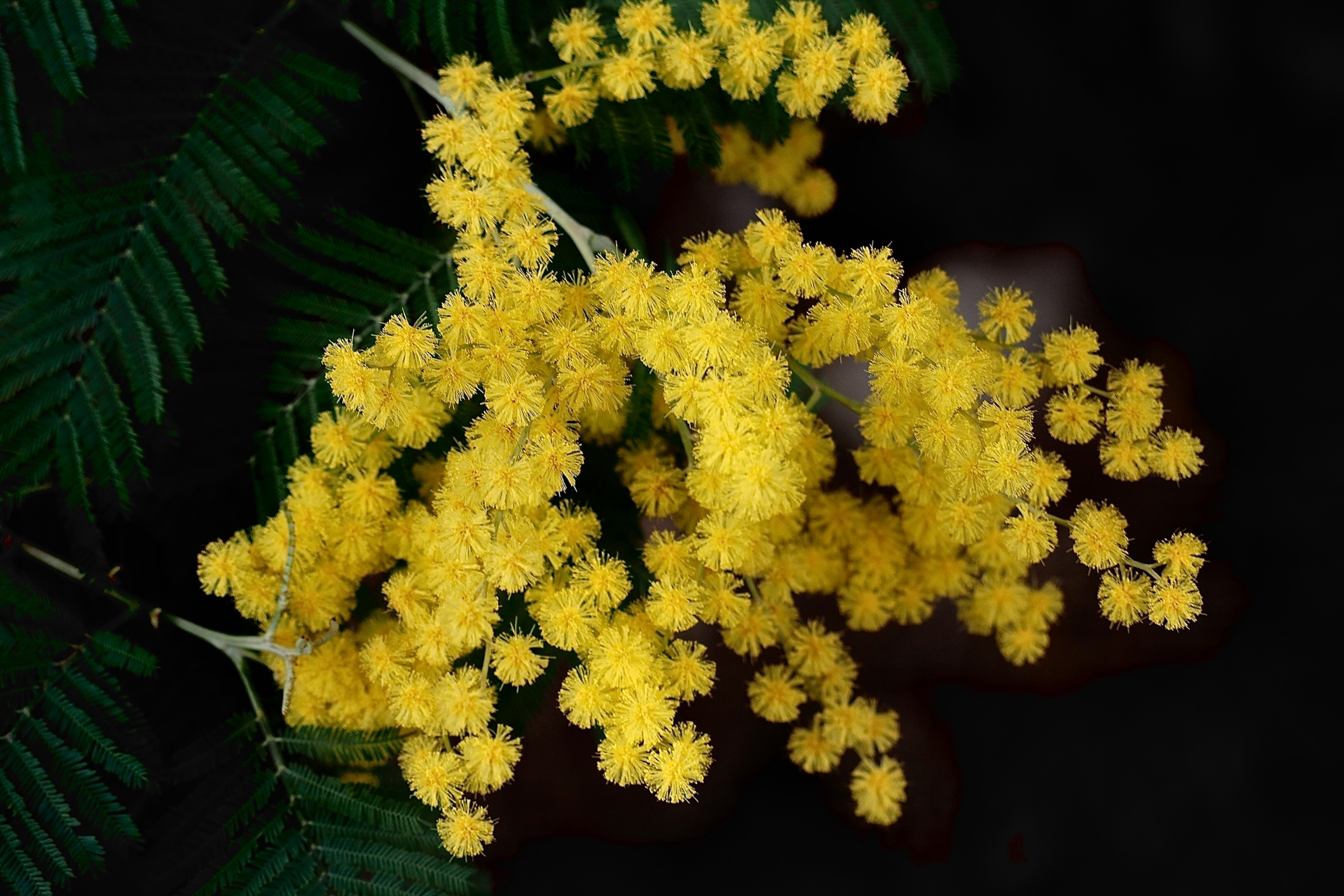 gerard-avril-evqQBQr53II-unsplash