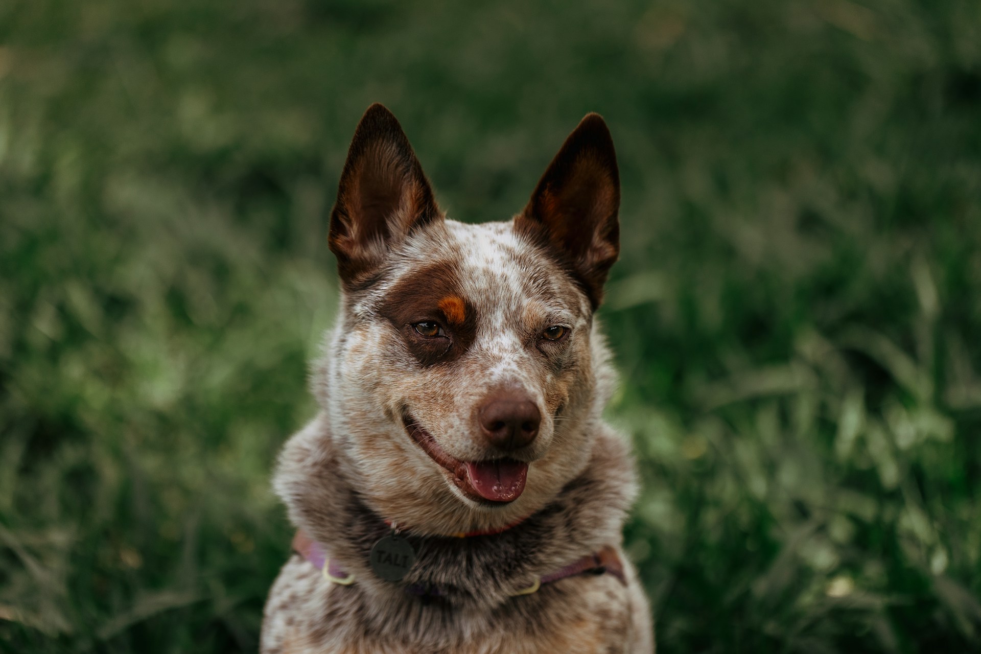 helena-lopes-b0b7W3gmOhg-unsplash