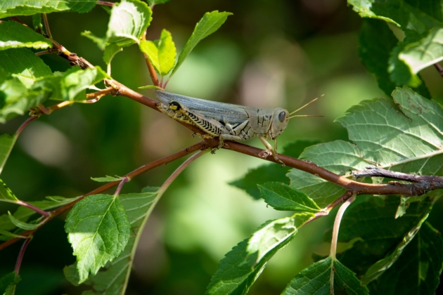 jon-sailer-V9LrbESMtmI-unsplash