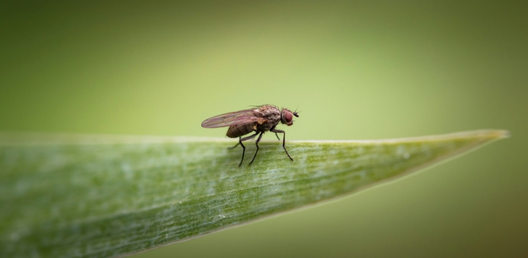 anton-atanasov-a5xO44fH3rM-unsplash