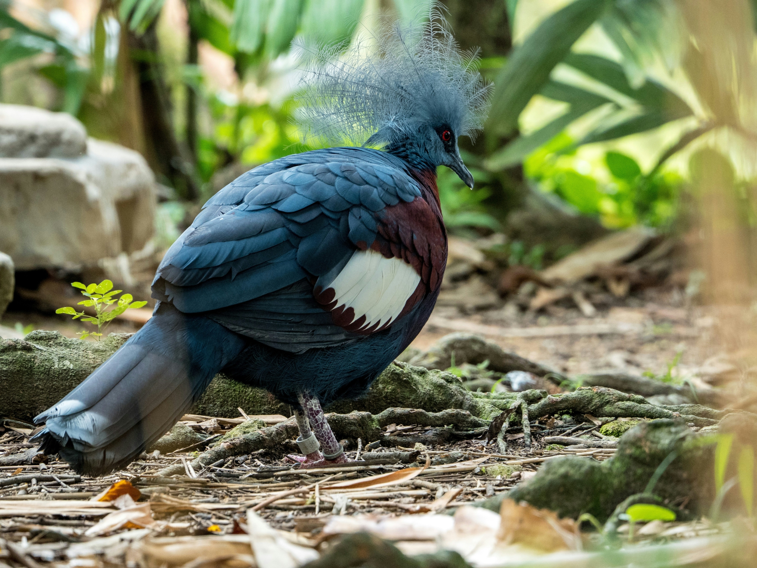 jing-bo-wang-U38xYkeGC-s-unsplash