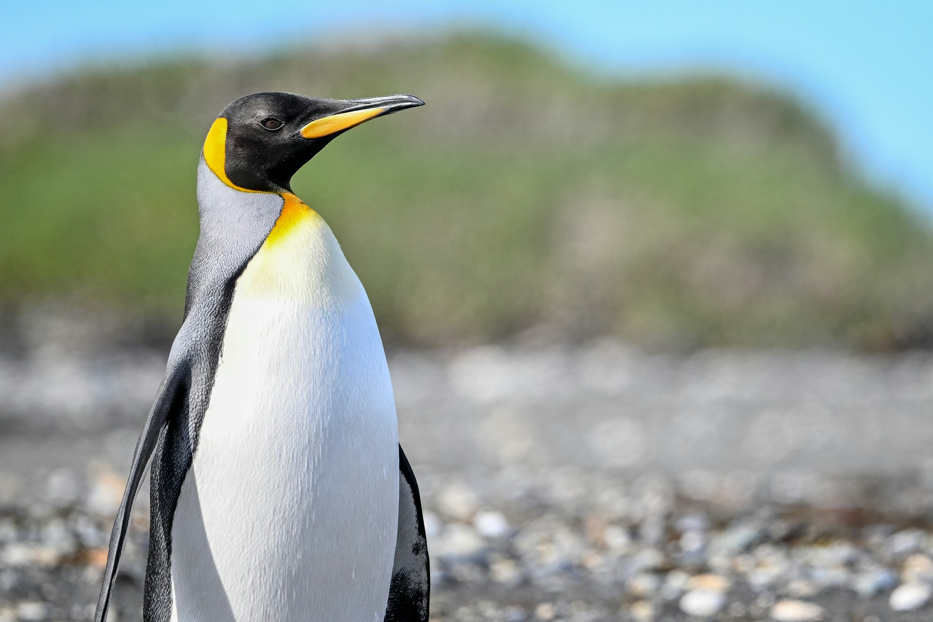 joshua-bergmark-dI0AflEvdpk-unsplash