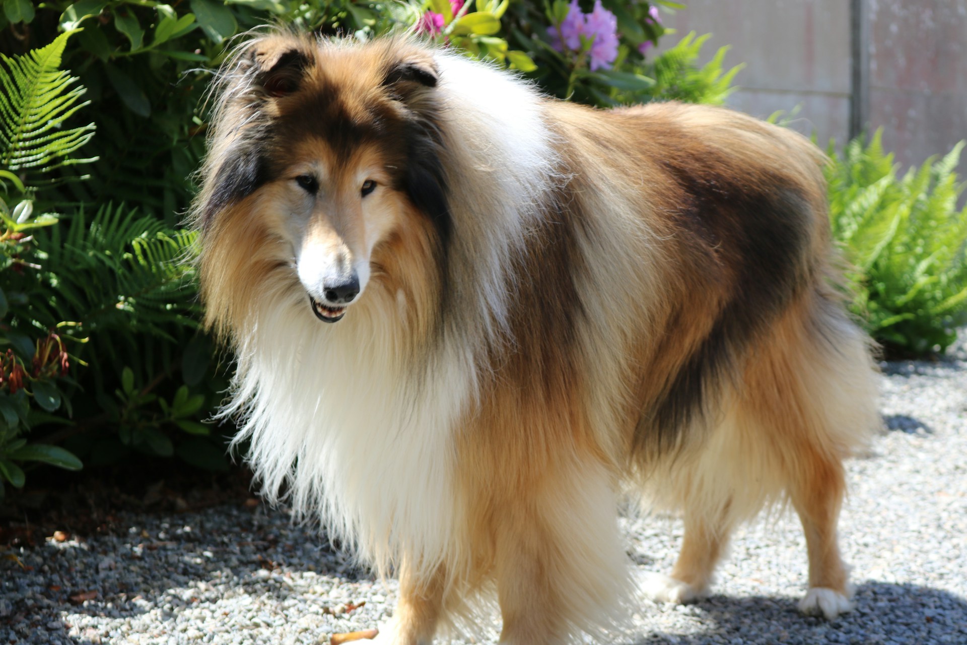 marie-christine-marchandeau-ck6rnW9crdY-unsplash