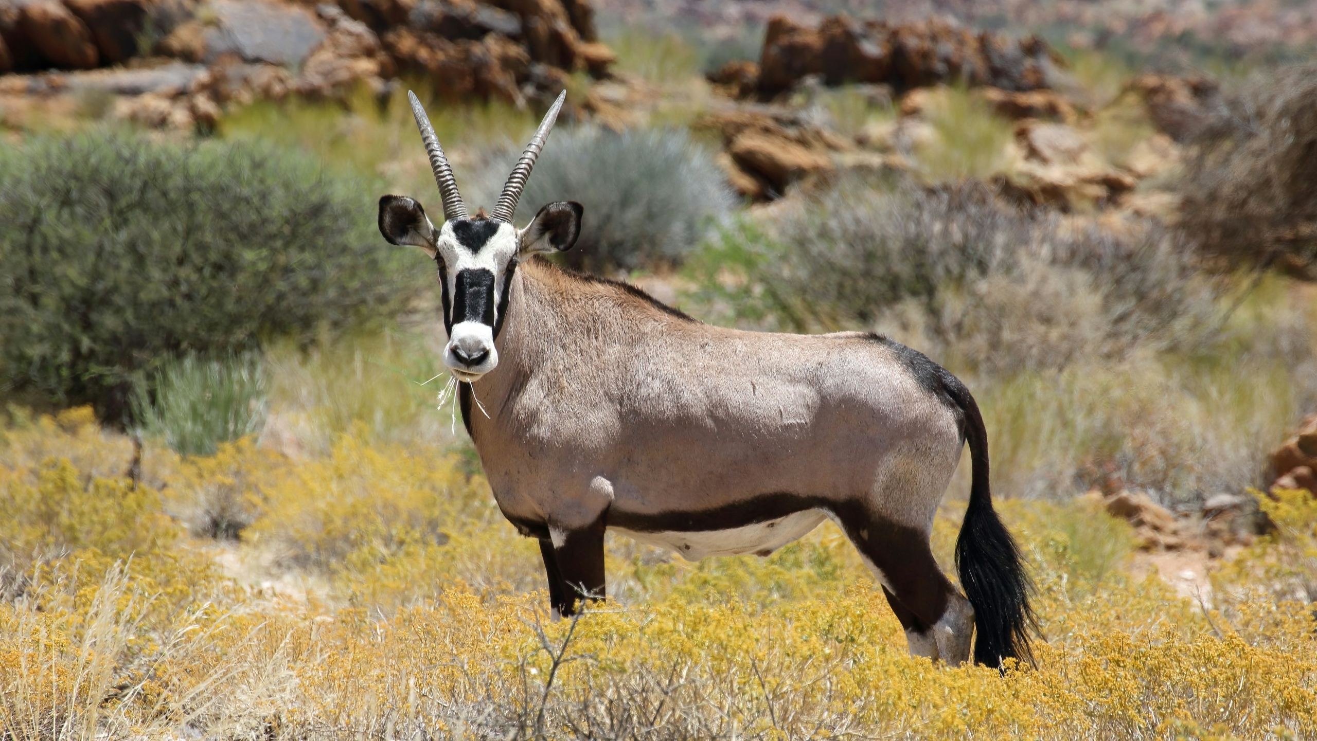 simon-hurry-Vi-2-NsnE4Y-unsplash