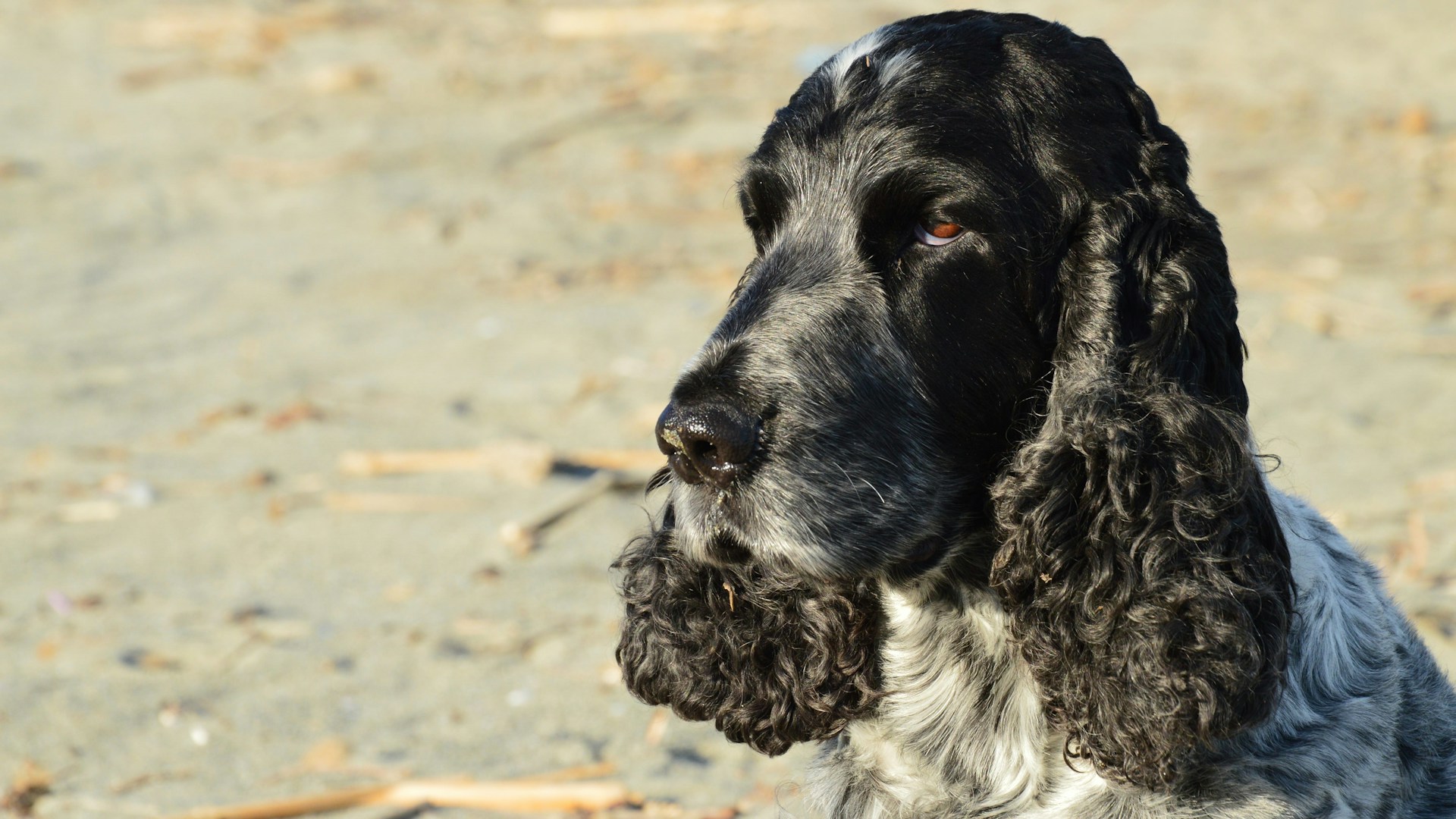 slim-mars-1cPGedopojg-unsplash