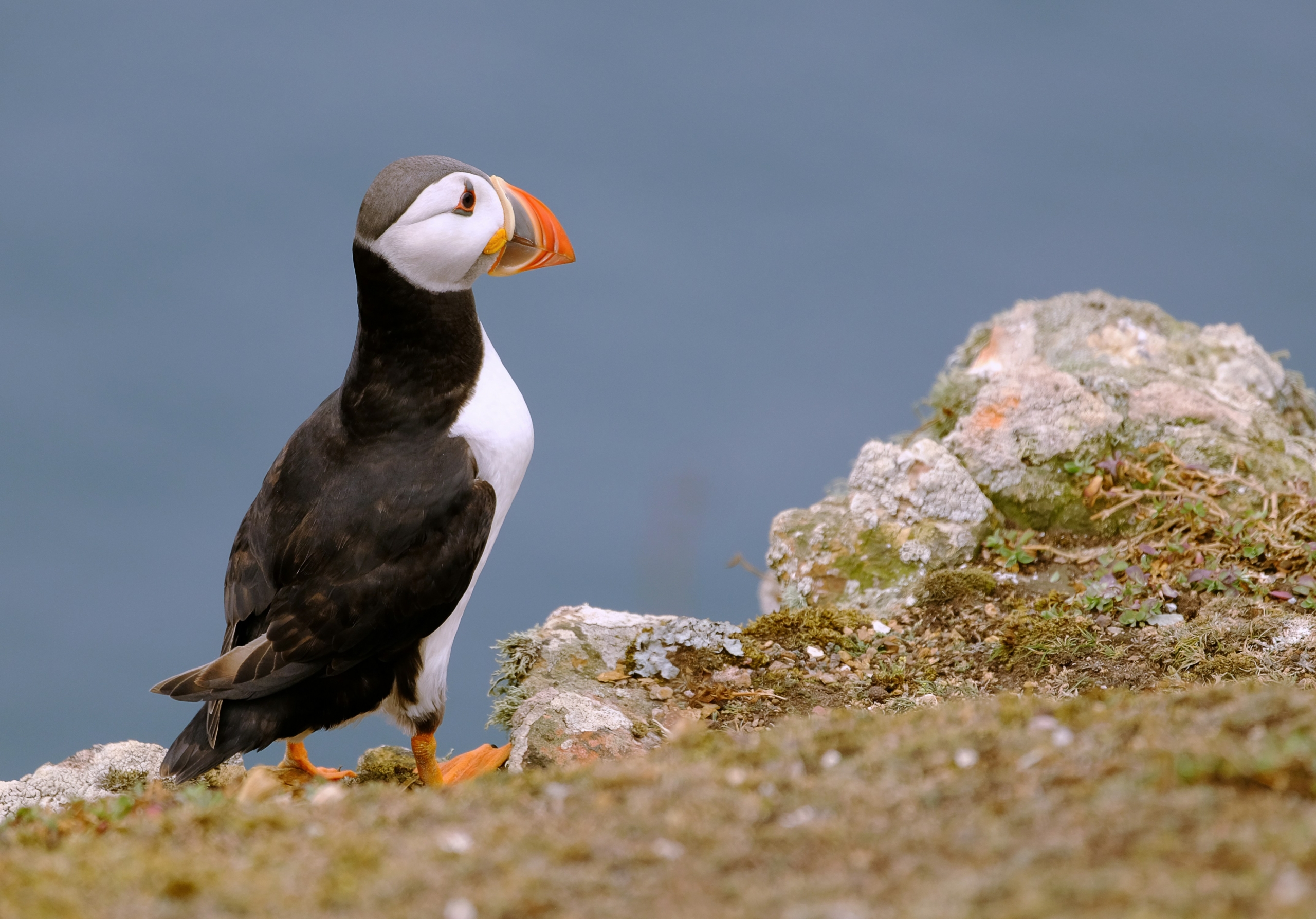 steve-west-oD7oxJ19UWo-unsplash