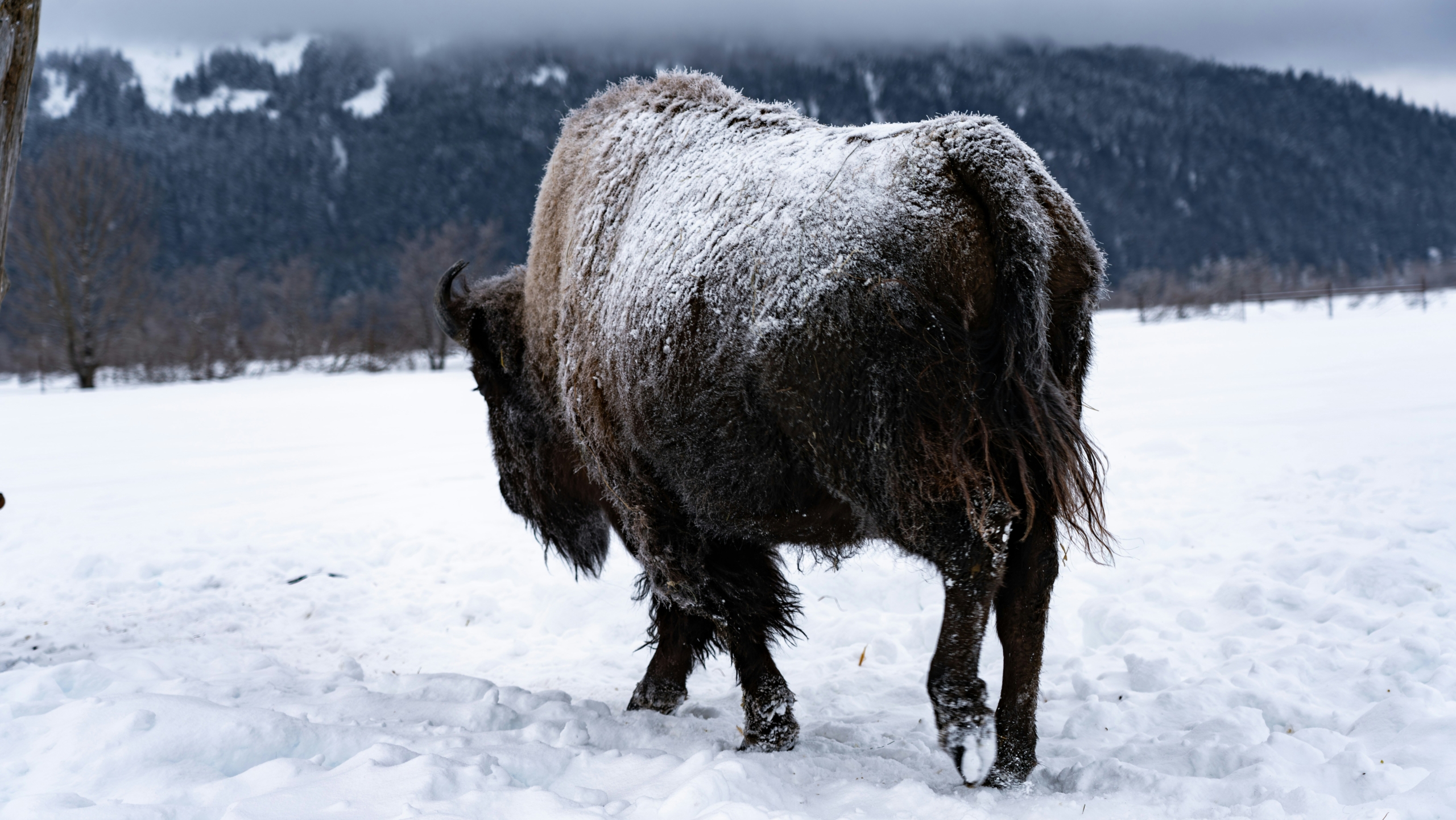 yuhan-du-DmNjEHg9M0o-unsplash