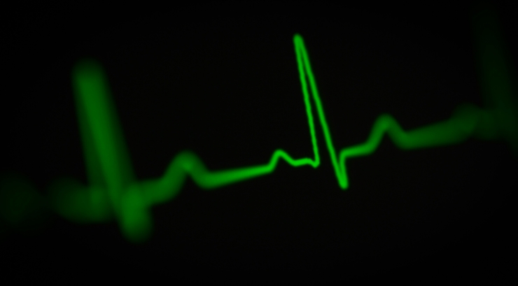 joshua-chehov-oCSol-lBtVA-unsplash