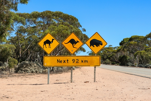 What Do These Signs and Symbols Mean? josh-chapman-vV9Si8a_v8E-unsplash